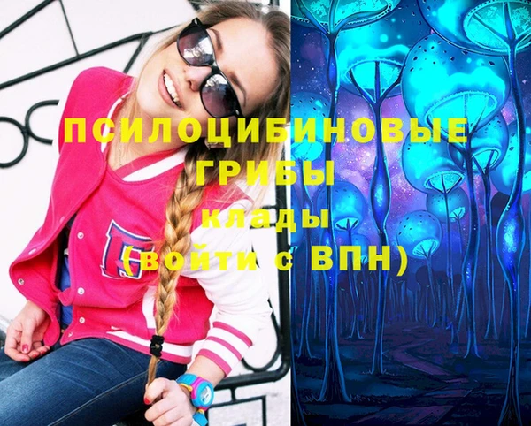 прущий лед Горняк