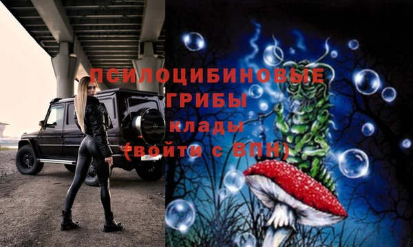 прущий лед Горняк