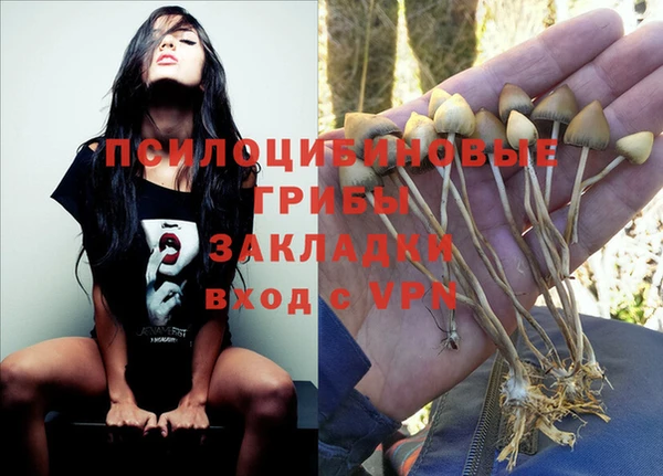 ешки Горнозаводск