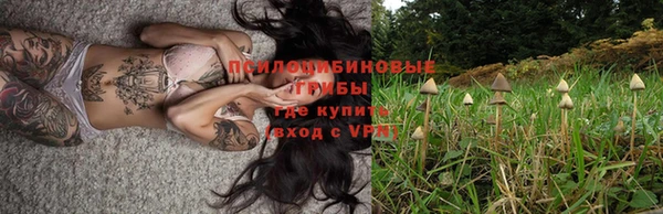 МДПВ Горно-Алтайск