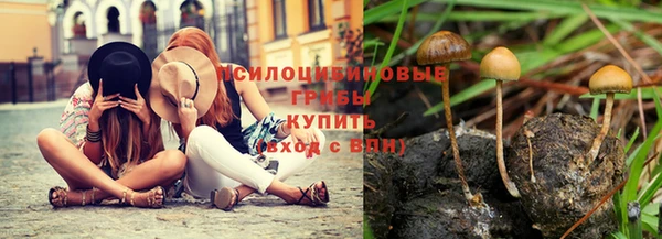 МДПВ Горно-Алтайск