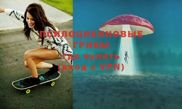 прущий лед Горняк