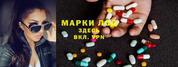 прущий лед Горняк
