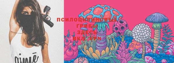 ешки Горнозаводск