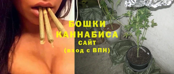 ешки Горнозаводск