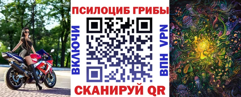 продажа наркотиков  Чита  Псилоцибиновые грибы Magic Shrooms 